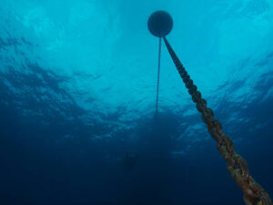 Mooring buoy and chain
