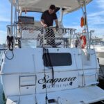 Swim Step and folded ladder